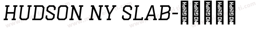 Hudson NY Slab字体转换